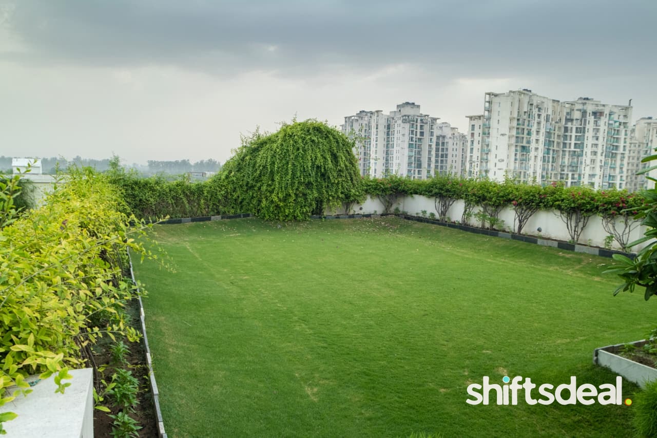 Beautiful green Terrace, Rooftop venue in Sonipat