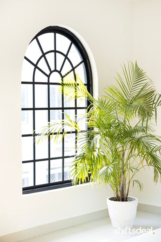 Arched Window Photography Studio in Delhi
